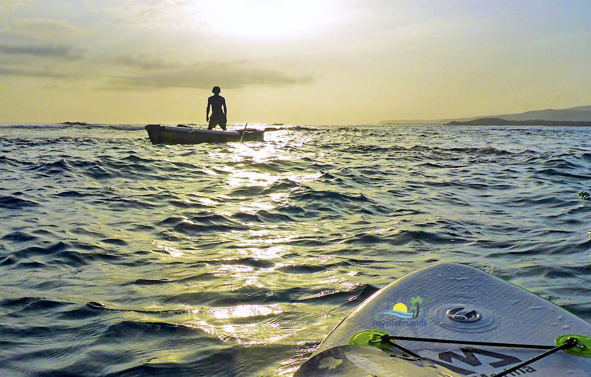 Paddleboarding Encounters at Silver Sands Jamaica